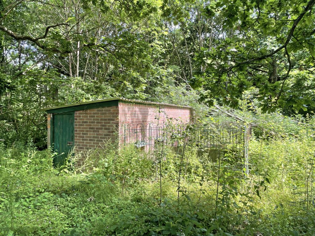 Lot: 36 - A COLLECTION OF DERELICT BUILDINGS ON A WOODED RURAL SITE EXTENDING TO 1.41 ACRES -